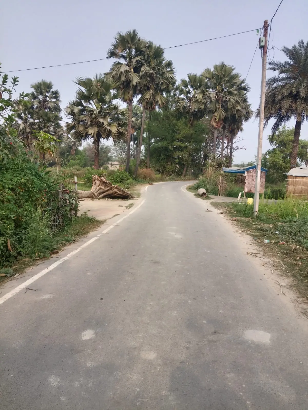 Construction of bitumen road , Tejpurwa- Gaura , Marhowrah