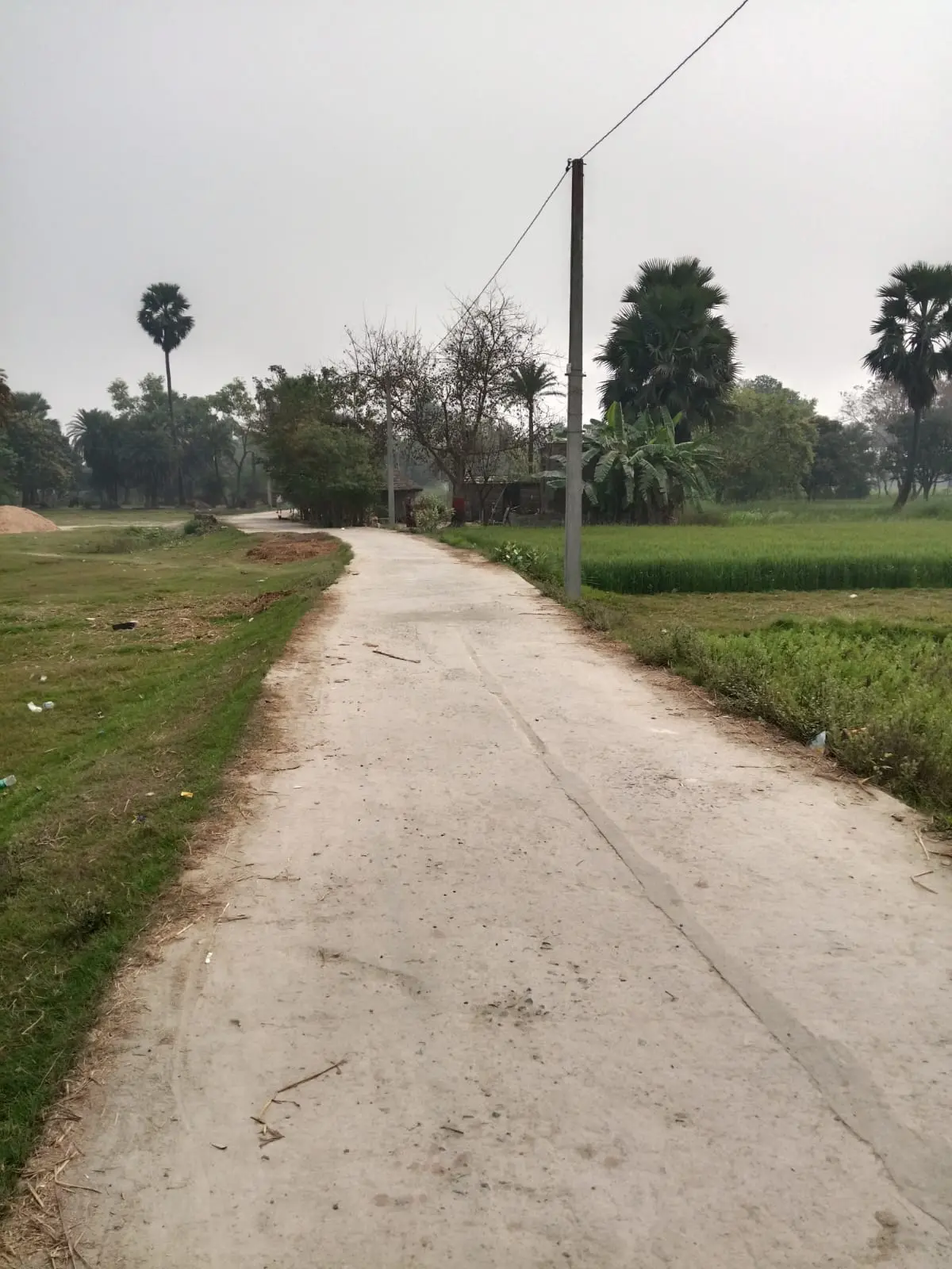 Construction of PCC road , SH-73 to Koari Tola, Taraiya